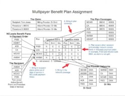 Graphic Used to Explain Multipayer Benefit Assignment Graphic Used to Explain Multipayer Benefit Assignment